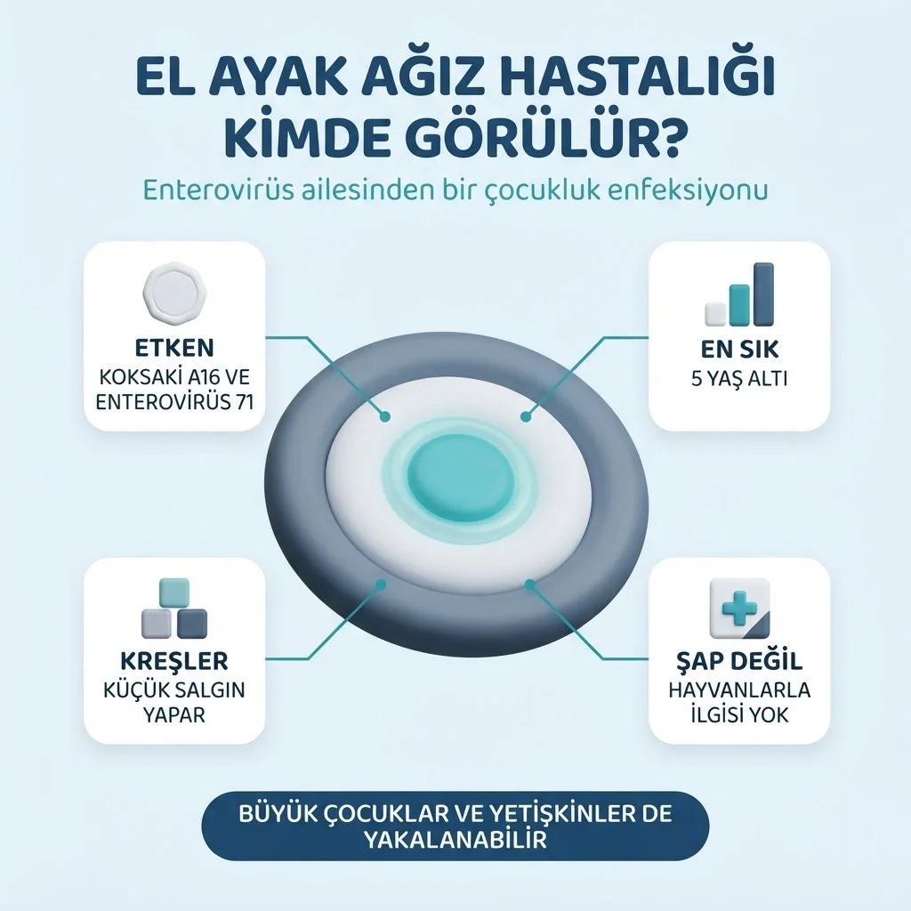 El ayak ağız hastalığı — enterovirüs etkeni ve en çok etkilenen 5 yaş altı çocuklar